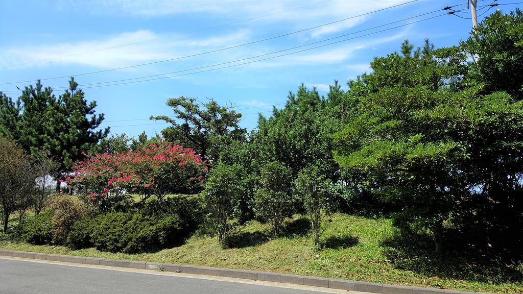 Villa Cardinal House Jeju Exterior foto